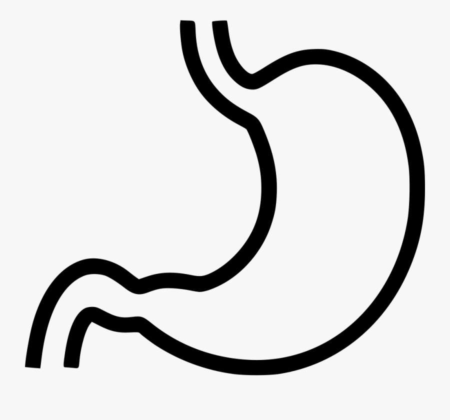 Stomach Svg Png Icon Free Download - Stomach Black And White Clipart, Transparent Clipart