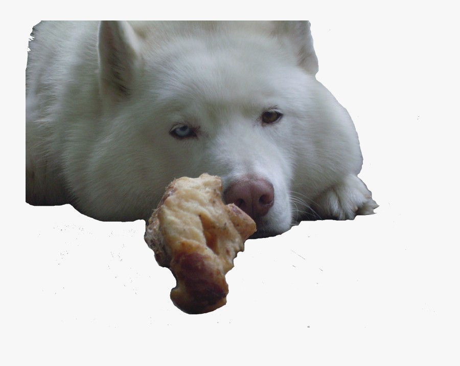 Dog Grooming Clipart, Transparent Clipart