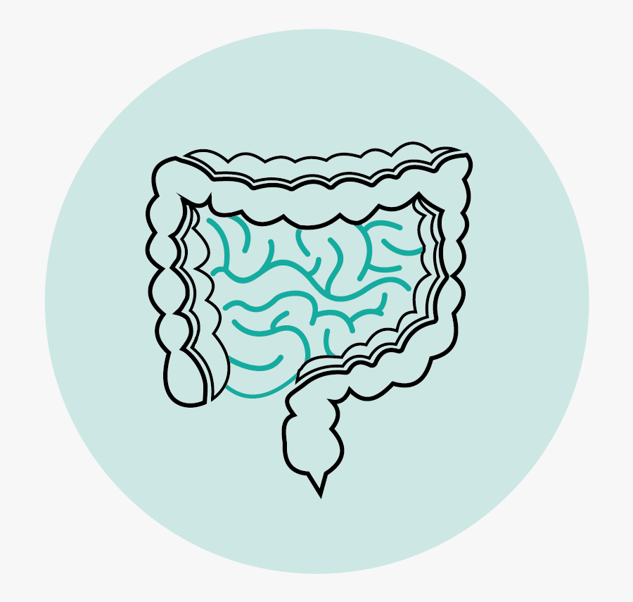 Vector Graphics Clipart , Png Download - Circle, Transparent Clipart