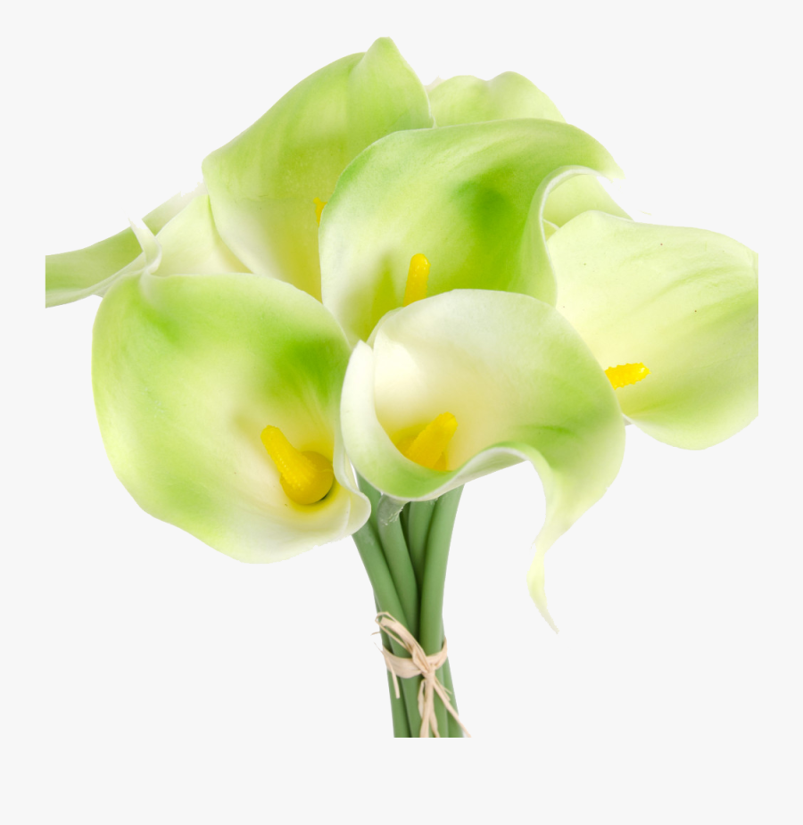 Calla Lilies Flowers Png Clipart - Giant White Arum Lily, Transparent Clipart