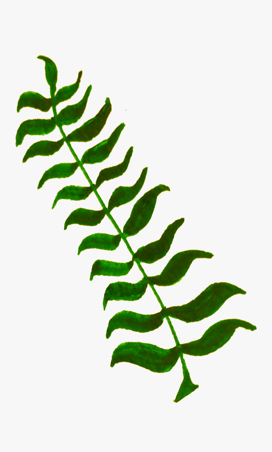 Clipart Leaf Twig - Under Water Plant Clip Art, Transparent Clipart