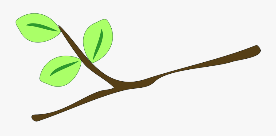 Art,plant - Twig Clipart, Transparent Clipart