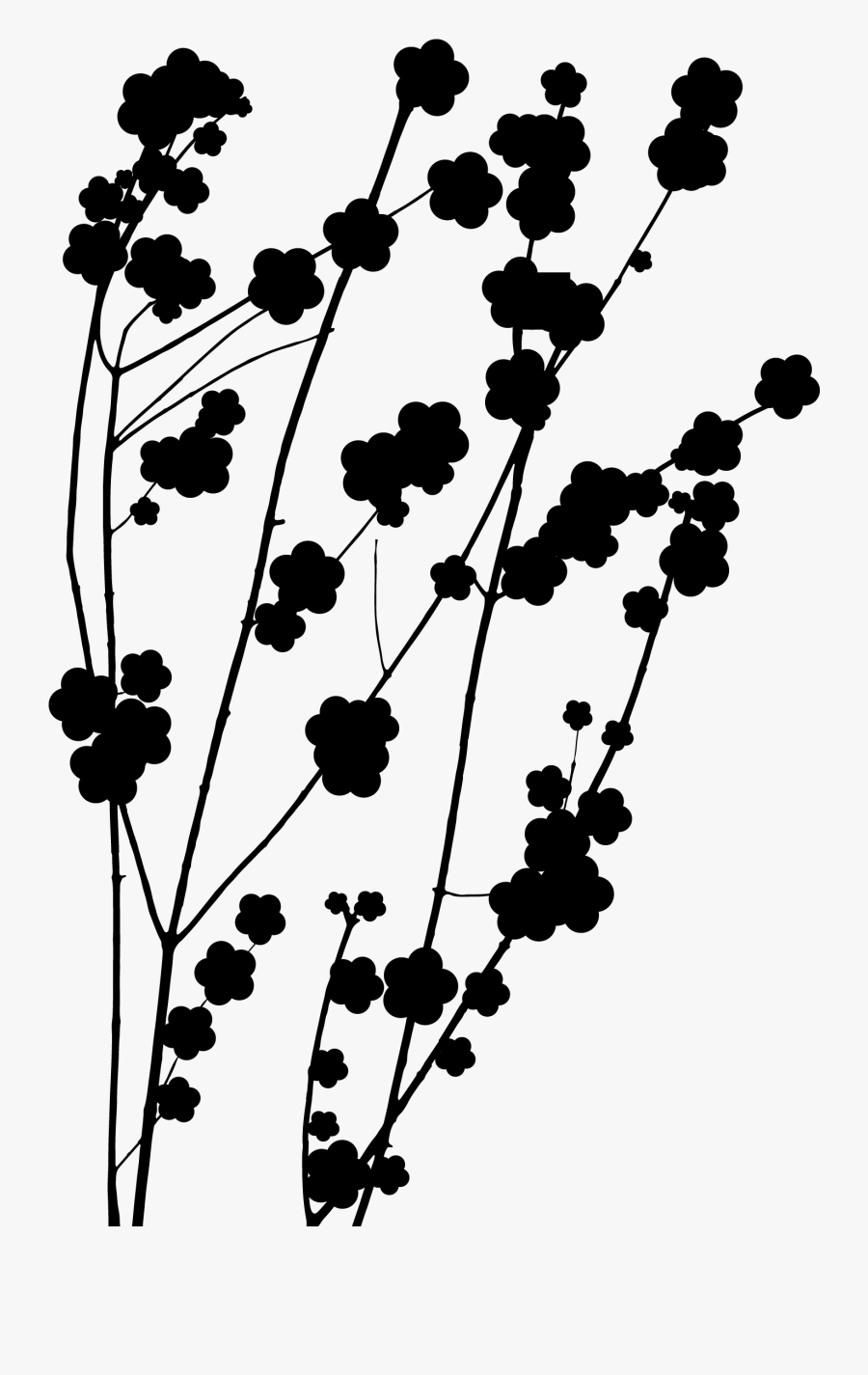 Plant Flower Leaf Pattern Stem Twig Clipart - Silhouette, Transparent Clipart