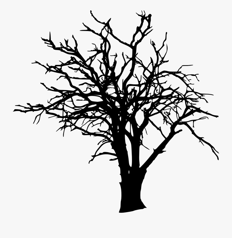 Twig Tree Silhouette Clip Art - Bare Tree Silhouette, Transparent Clipart