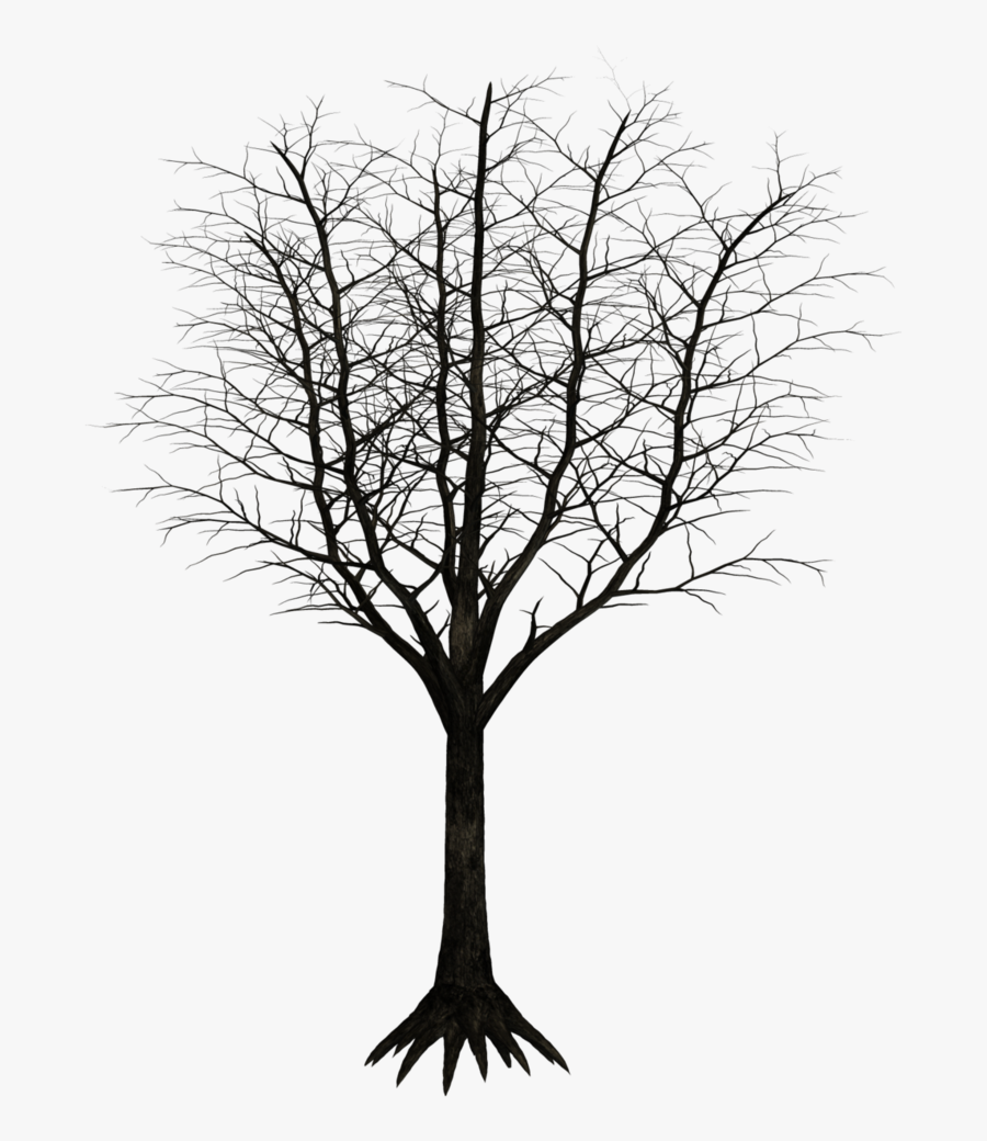 Free Download Monochrome Photography Clipart Twig Black - Dark Tree Png, Transparent Clipart
