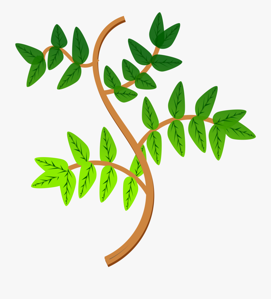 Clipart Leaf Twig - Branches Of Plant, Transparent Clipart
