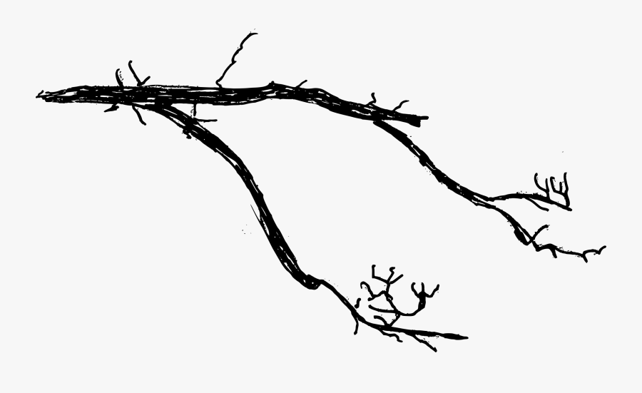 Transparent Tree Branch Clipart Black And White - Branch Drawing No Background, Transparent Clipart