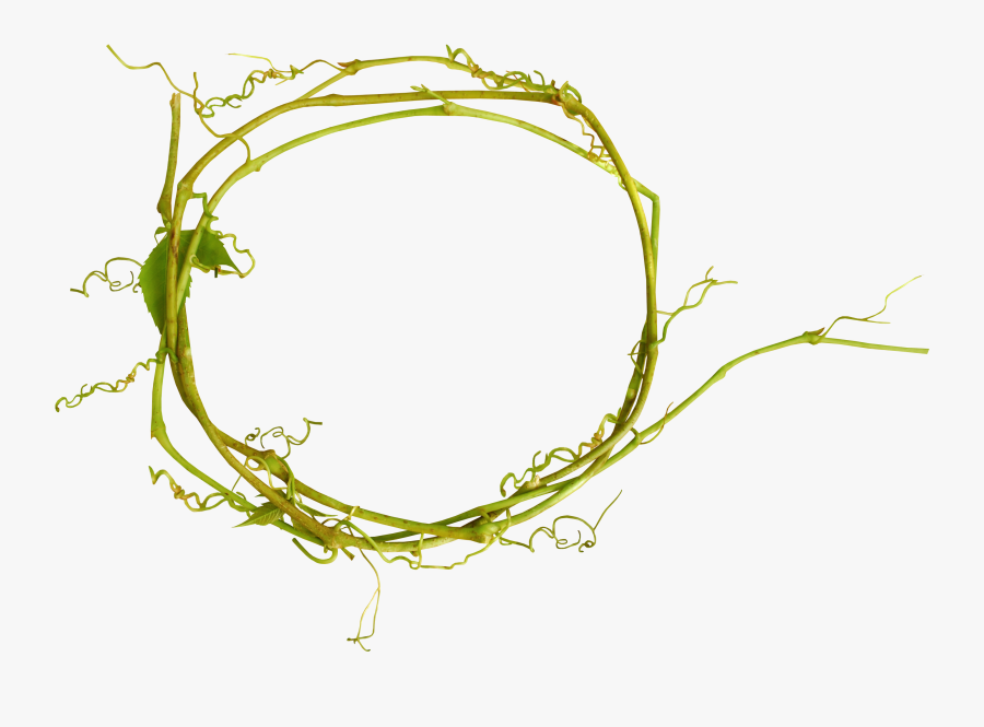 Flower Branch Design Holi Floral Twig Clipart - Illustration, Transparent Clipart