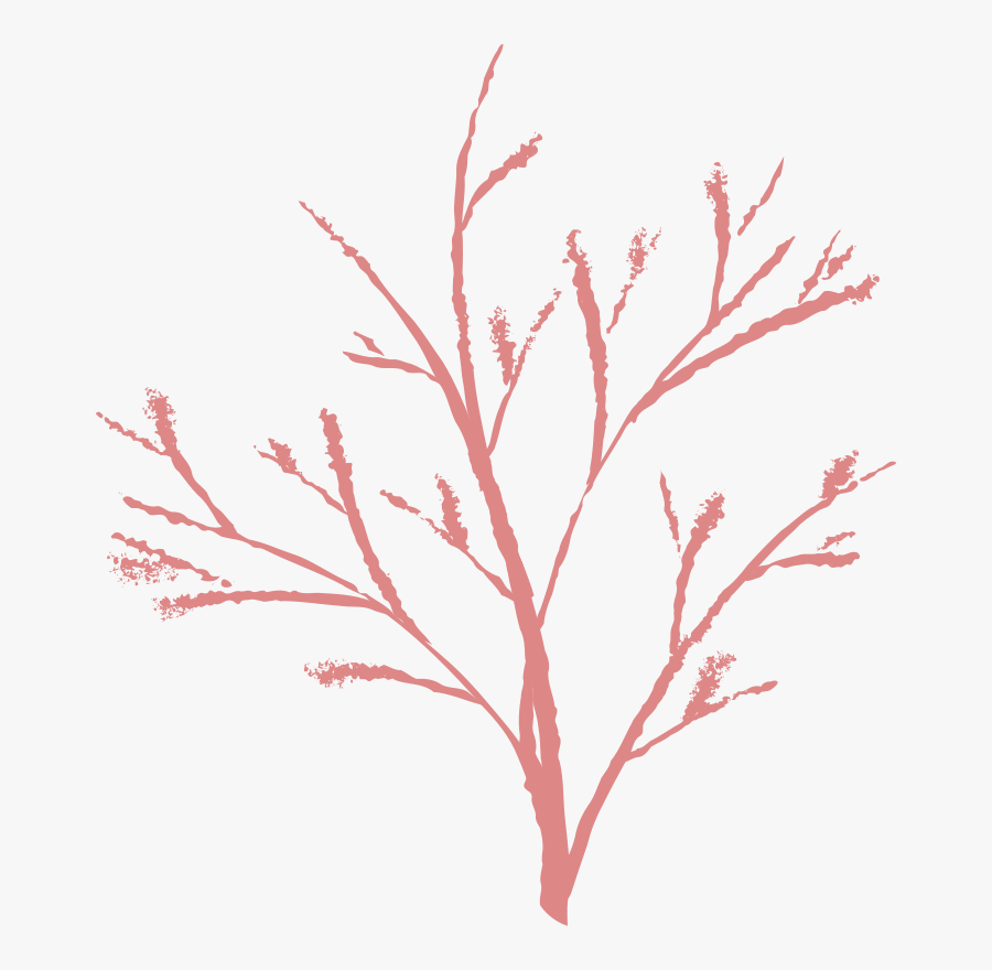 Free Tree - Ranting Png, Transparent Clipart