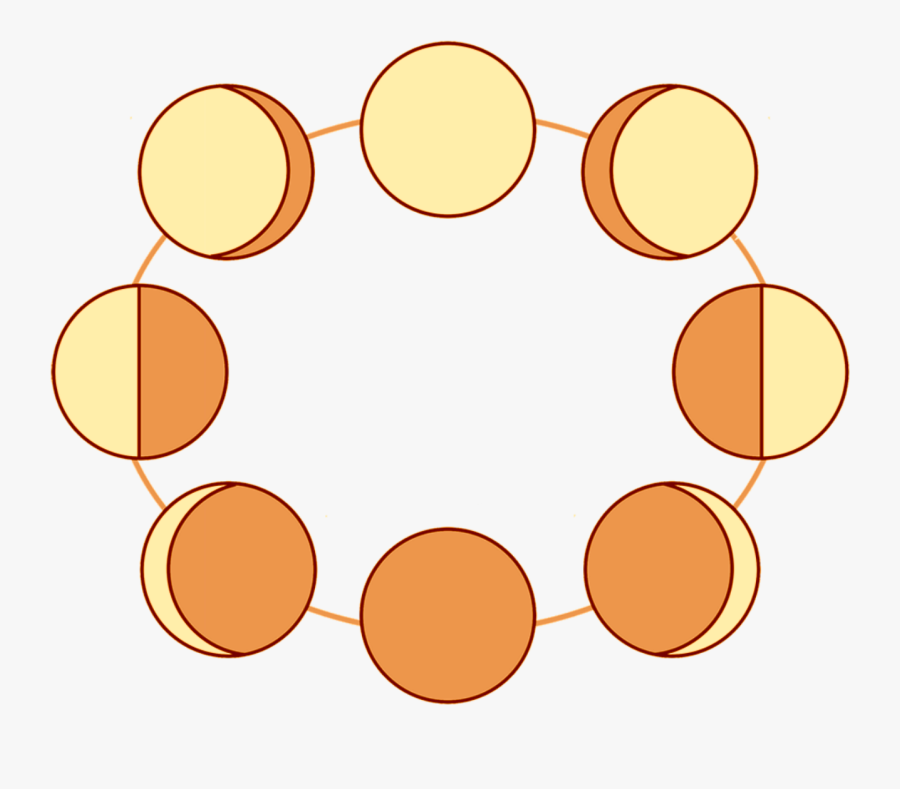 Phases Of The Moon Quiz - Moon Phases Colouring, Transparent Clipart
