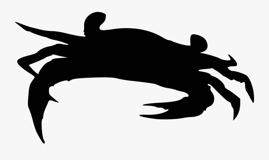 Photography - Blue Crab Rhode Island, Transparent Clipart