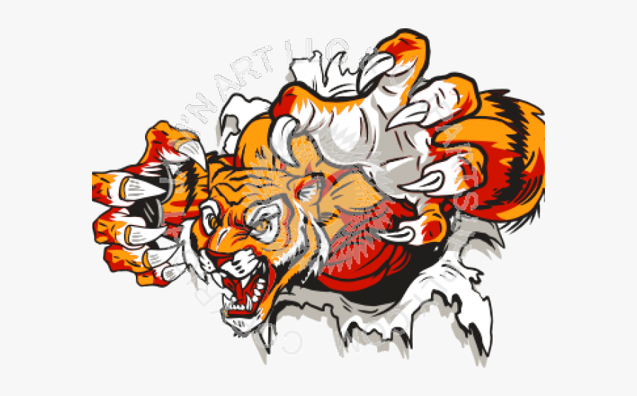 Hd Melrose Golden Wildcats - Tiger Tearing Through Shirt, Transparent Clipart
