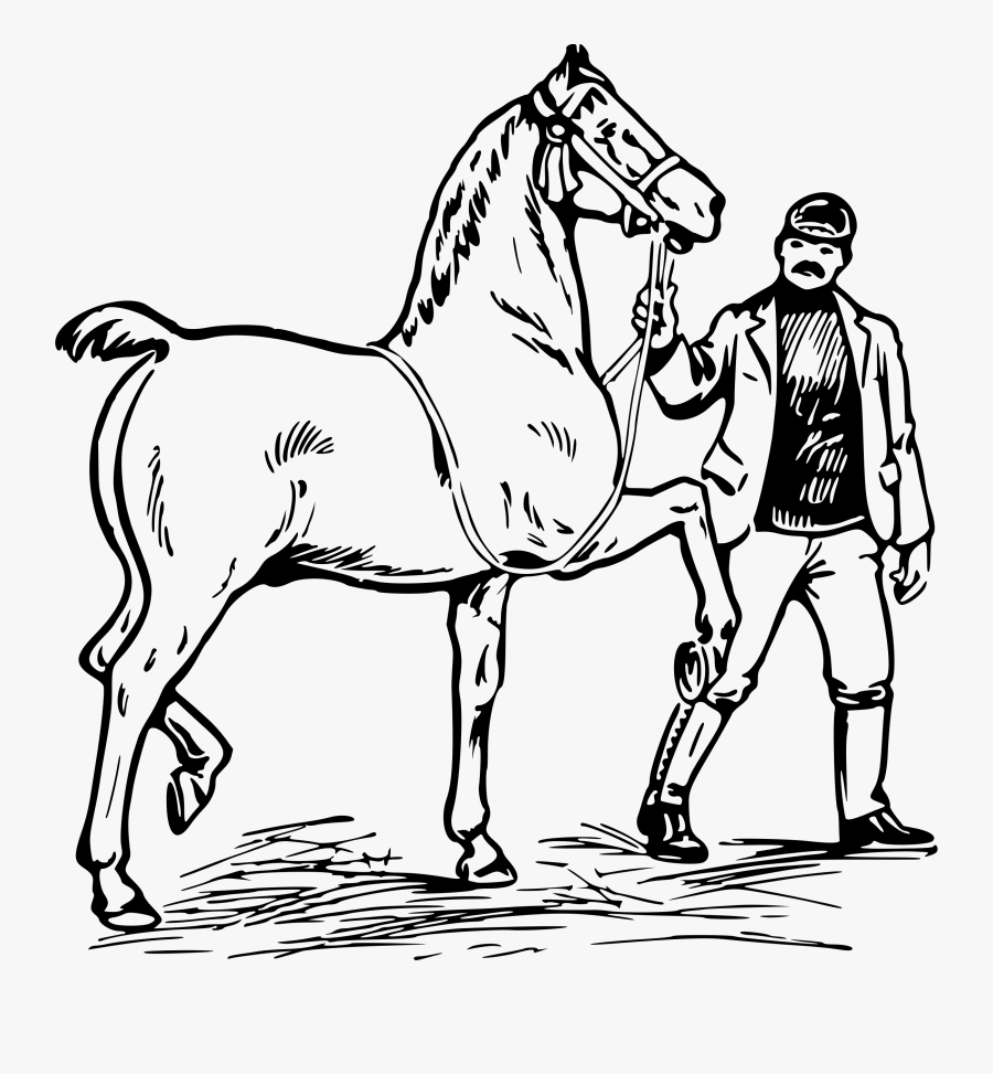 Man On Horse Drawing - Koně K Vytisknuti, Transparent Clipart
