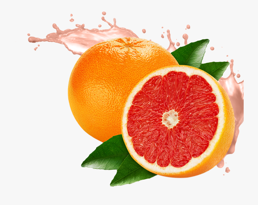 Grapefruit Png - Цитрус Пнг, Transparent Clipart