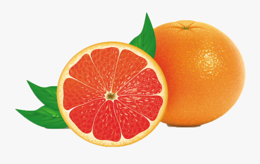 Transparent Orange Slice Clipart - Grapefruit Juice Clipart, Transparent Clipart
