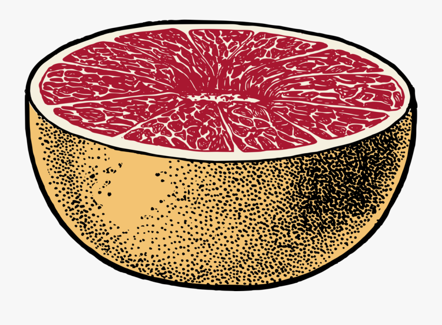 Transparent Grapefruit Clipart - Grapefruit, Transparent Clipart