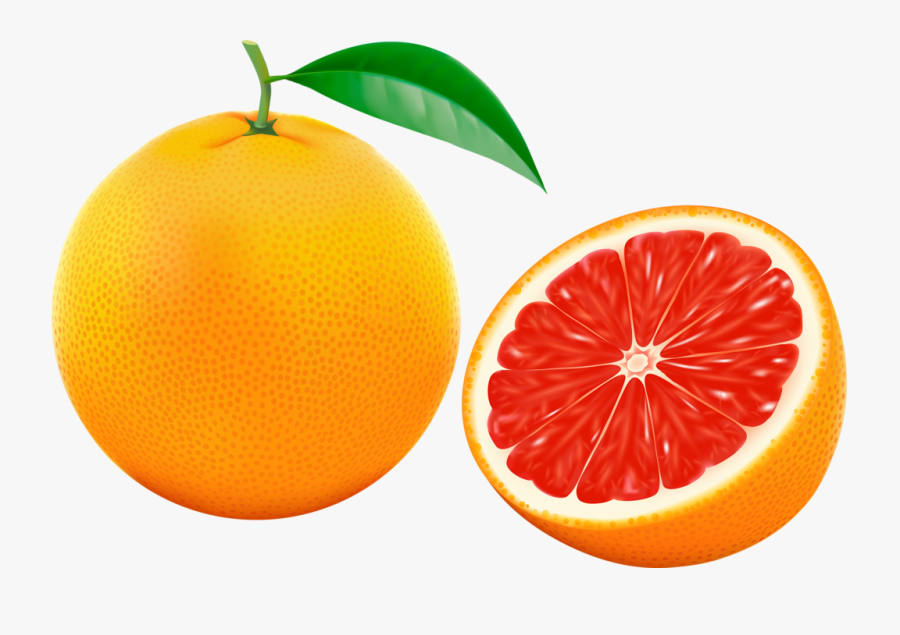 Grapefruit Illustration Half, Transparent Clipart