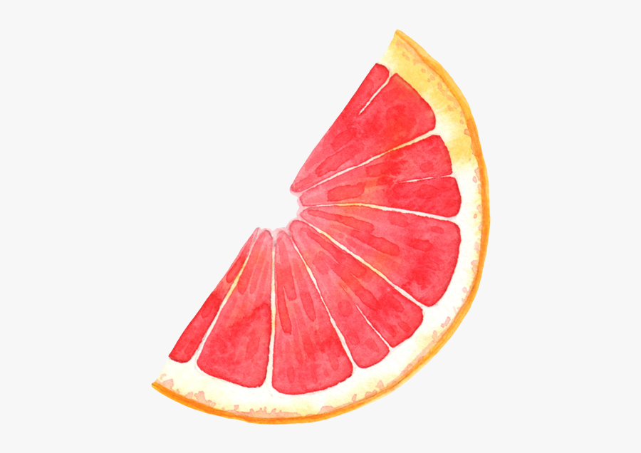 Clip Art Pomelo Blood Orange Illustration - Pomelo Cartoon Png, Transparent Clipart