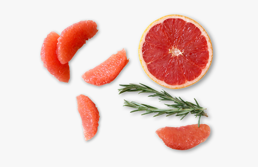 Transparent Grapefruit Png - Grapefruit, Transparent Clipart