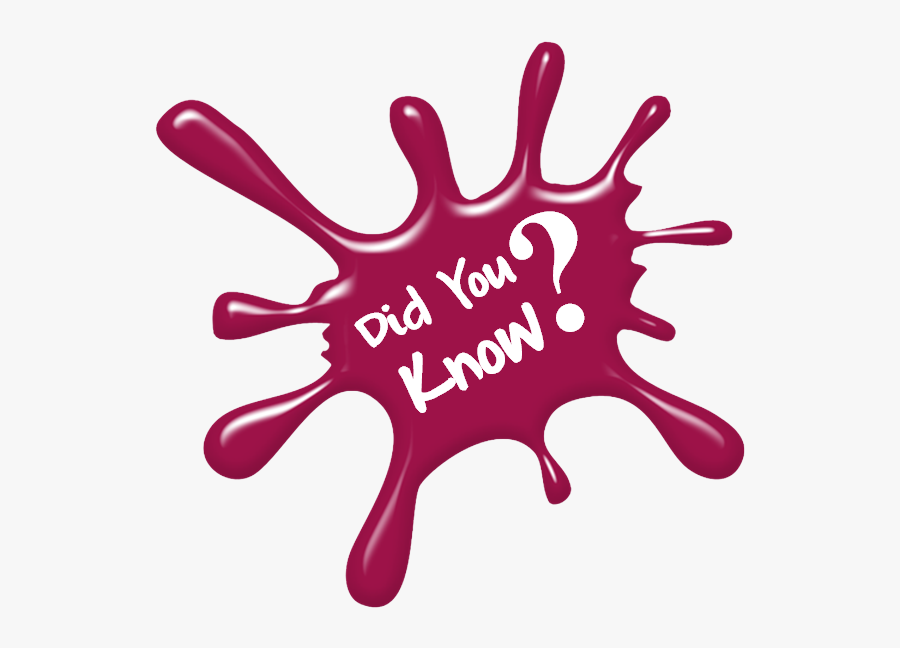 Did You Know, Transparent Clipart