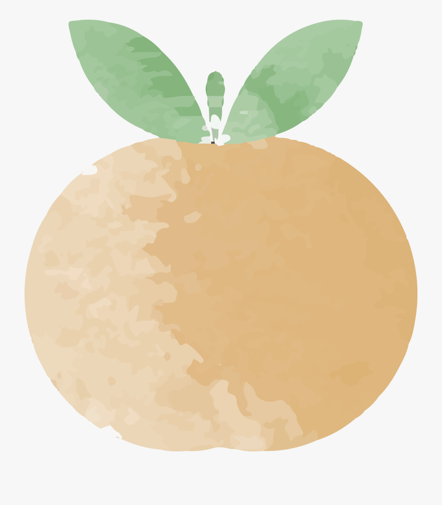 Painting Grapefruit Transprent Png - Apple, Transparent Clipart