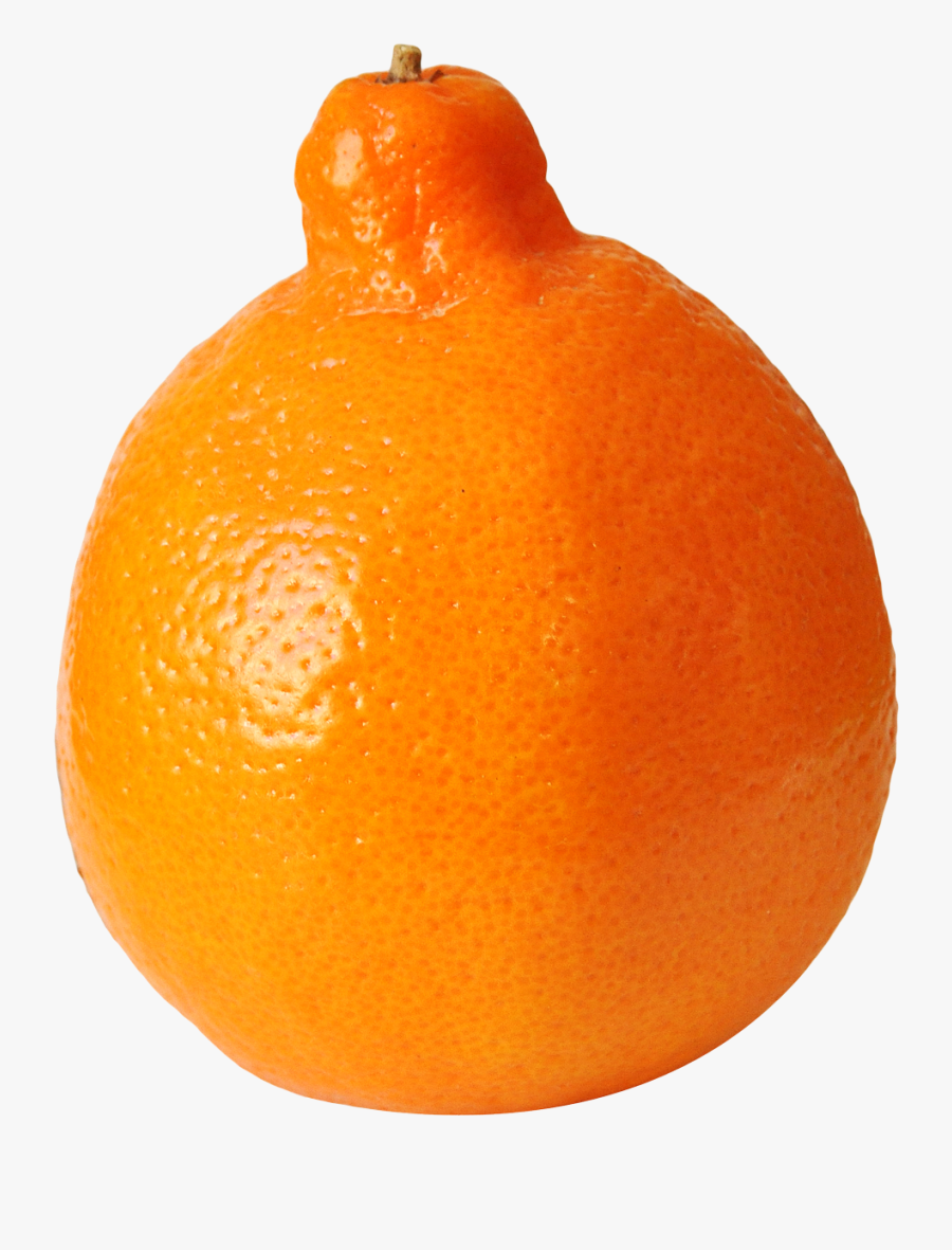 Transparent Ugli Fruit Clipart - Tangelo Png, Transparent Clipart