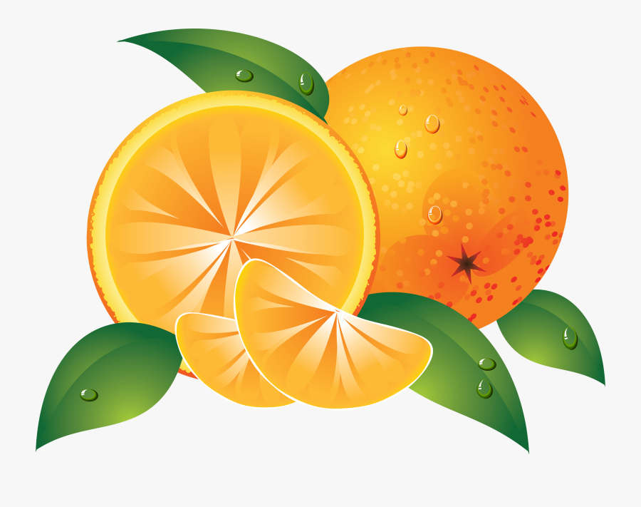 Grapefruit - Orange Clipart, Transparent Clipart
