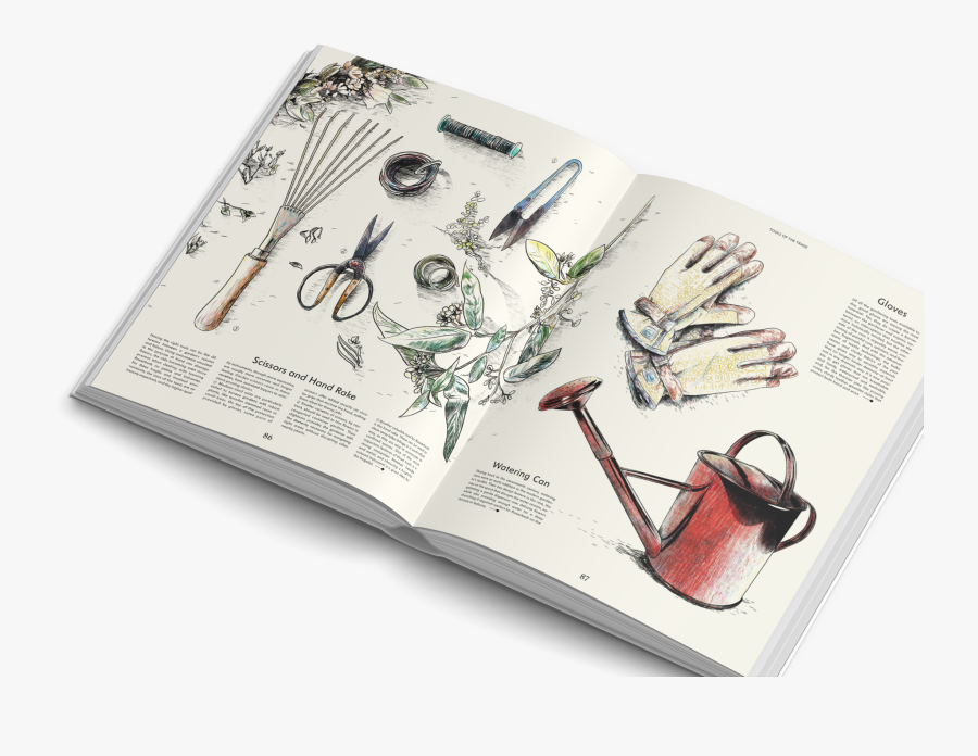 Living With Plants - Sketch, Transparent Clipart