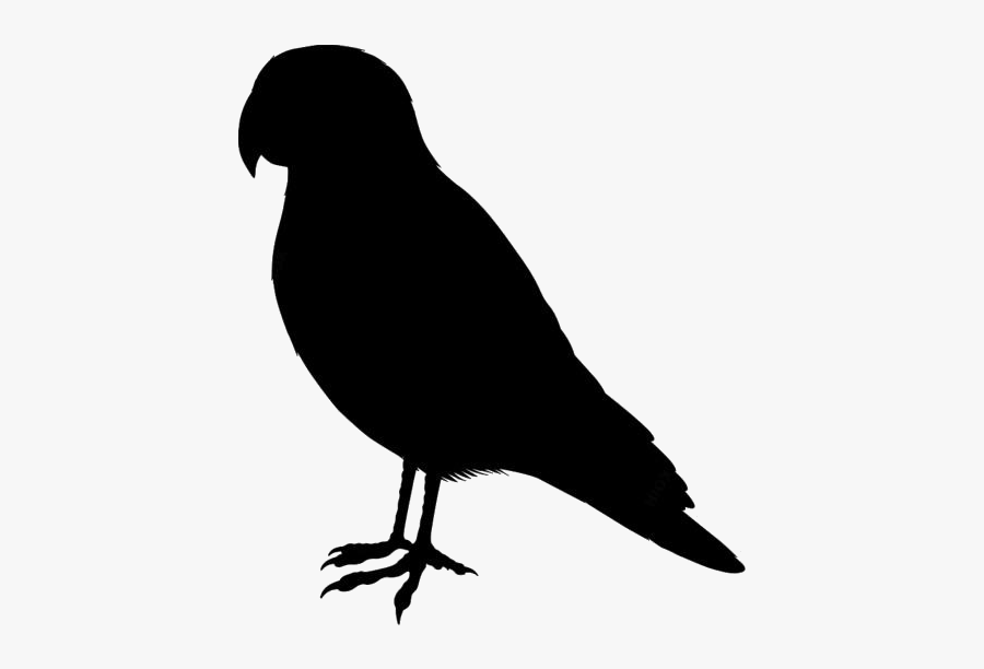 Cute Pet Birds Png Clipart Image For Download - Parrot, Transparent Clipart