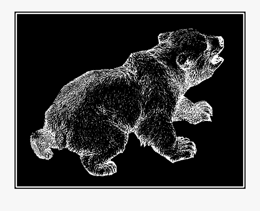 Grizzly Bear, Transparent Clipart