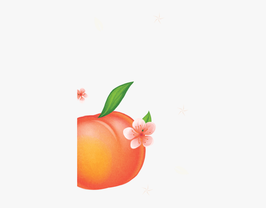 Illustration, Transparent Clipart