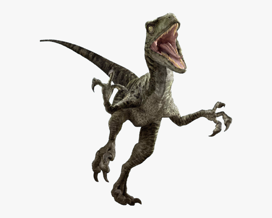 Jurassic World Dinosaur Png Png Download Jurassic World - Jurassic World Charlie, Transparent Clipart