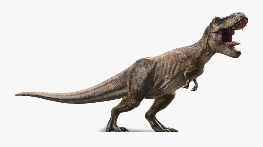Jurassic Park Png Hd Image - Tiranosaurio Rex Jurassic World, Transparent Clipart