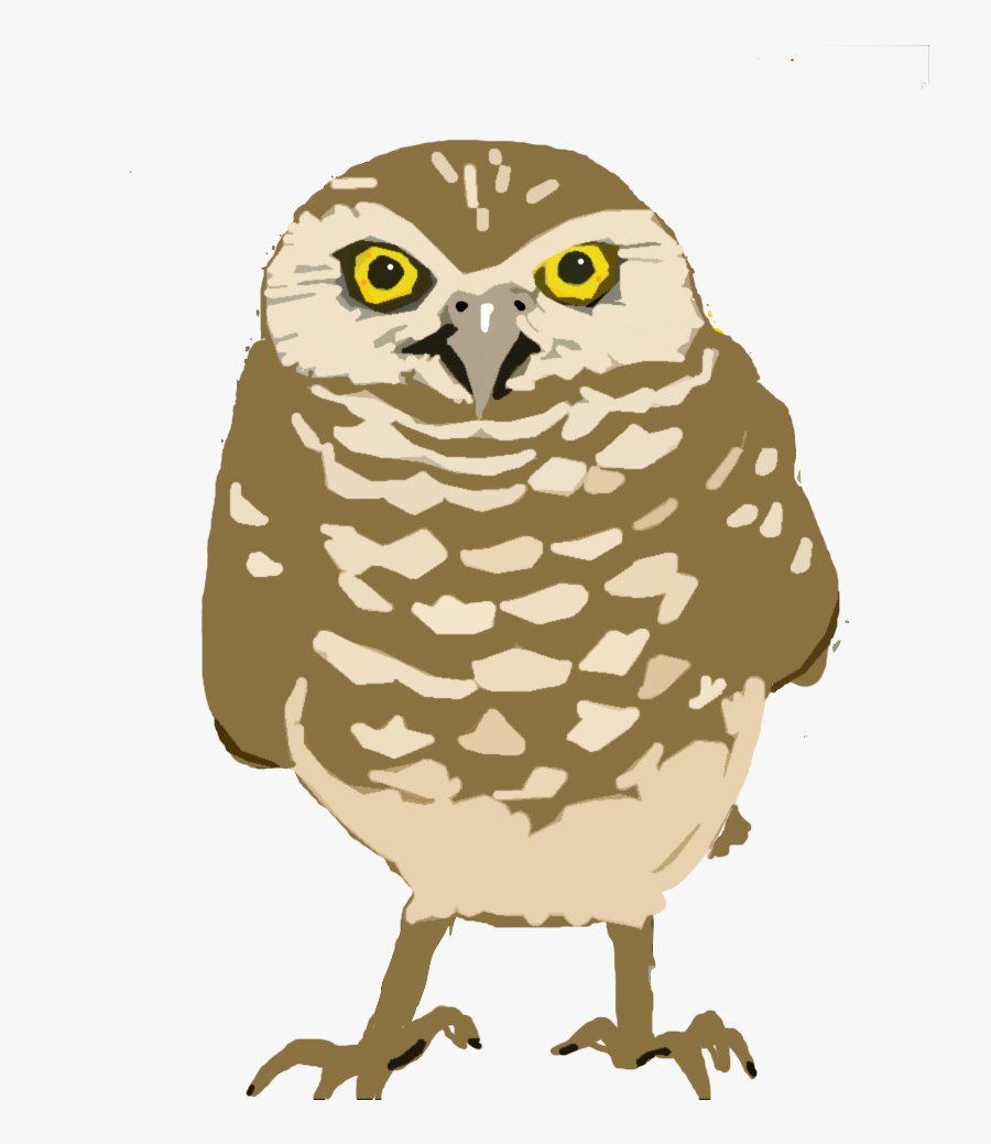 Burrowing-owl Copy - Burrowing Owl Transparent Background, Transparent Clipart