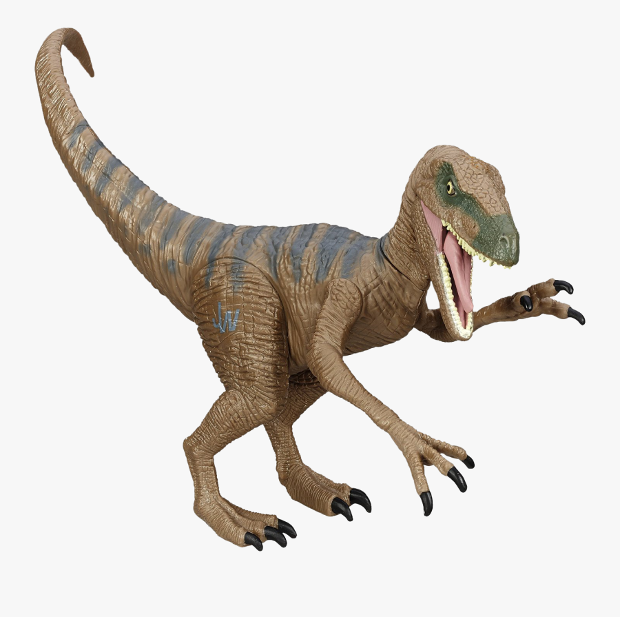 Transparent Dinosaurs Clipart - Many Claws Do Raptors Have, Transparent Clipart