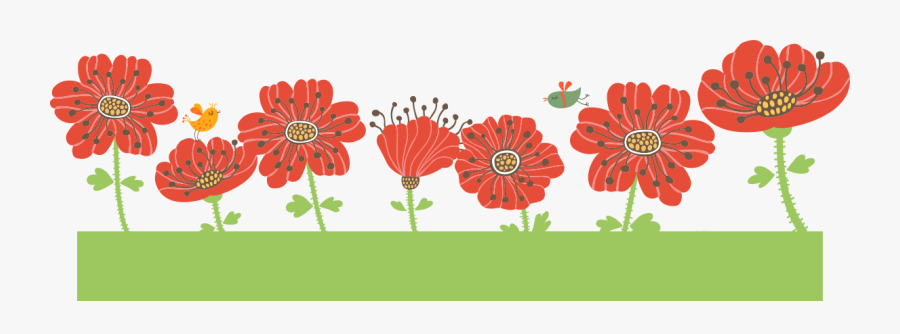 Barberton Daisy, Transparent Clipart