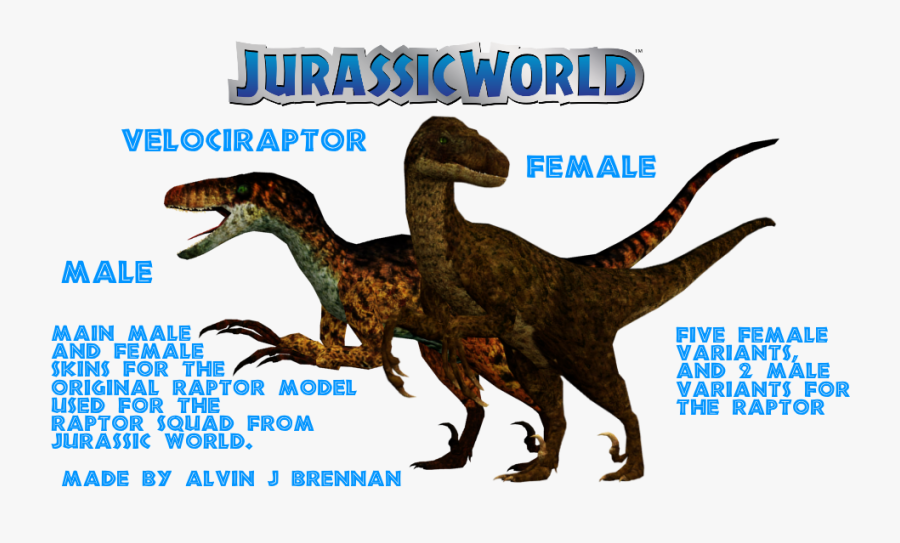 Velociraptor Clipart Jurassic World - Jurassic Park 2 Female Raptor, Transparent Clipart