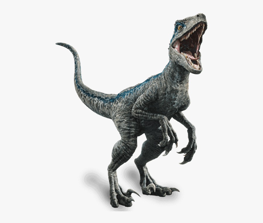 Jurassic World Fallen Kingdom - Jurassic World Velociraptor, Transparent Clipart