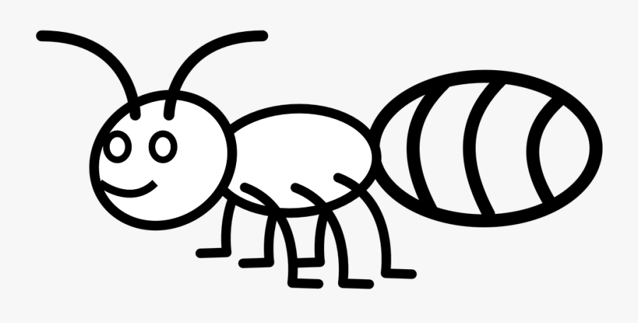 Outline Of An Ant, Transparent Clipart