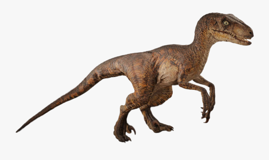 Dinosaur,animal Figure,terrestrial - Jurassic Park Raptor Png, Transparent Clipart