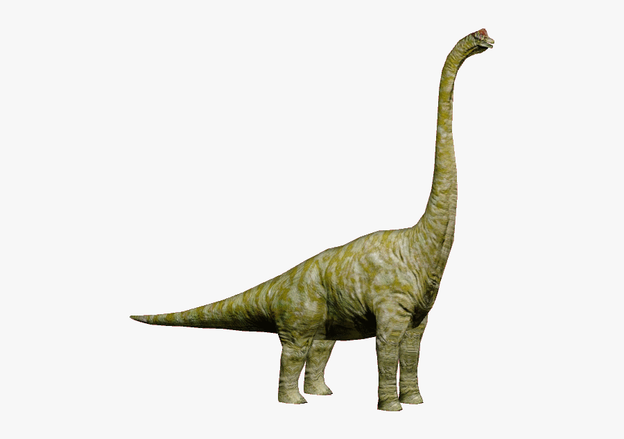 Brachiosaurus Jurassic World Dinosaurs, Transparent Clipart