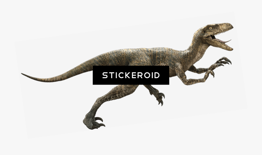 Velociraptor Hd Animals Dinosaur Reptile - Dinosaurio Veloz Y Raptor, Transparent Clipart
