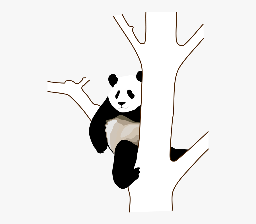 Panda Clip Art, Transparent Clipart