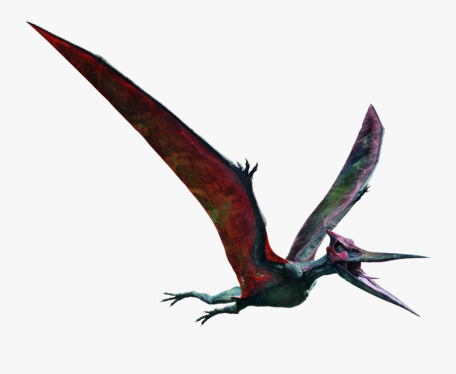 Iglu Clipart Tyrannosaurus Rex, Transparent Clipart