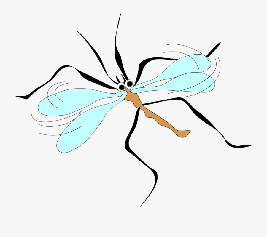 Mosquito, Wings, Long, Sucker, Insect, Blood, Legs - Mosquito Clip Art, Transparent Clipart