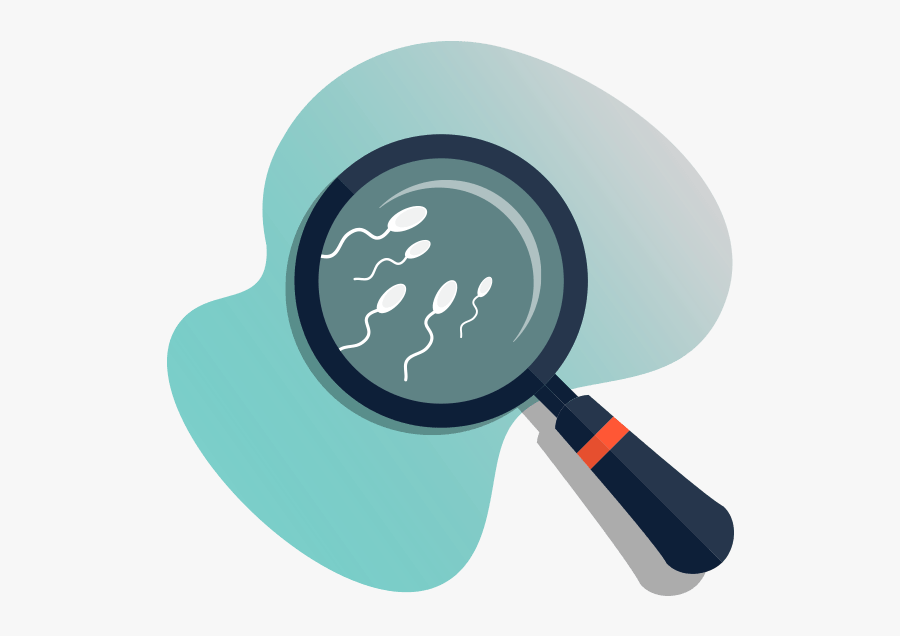 Male Seaman Analysis - Para Table Tennis, Transparent Clipart