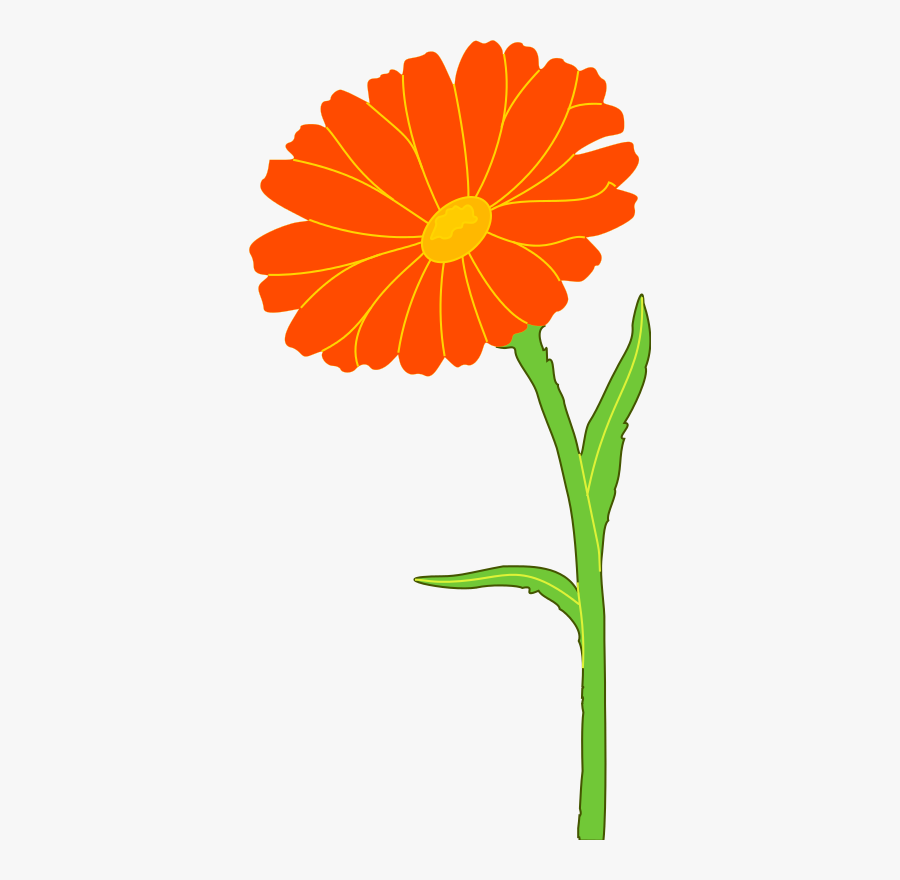 Marigold - Marigold Flower Clip Art, Transparent Clipart