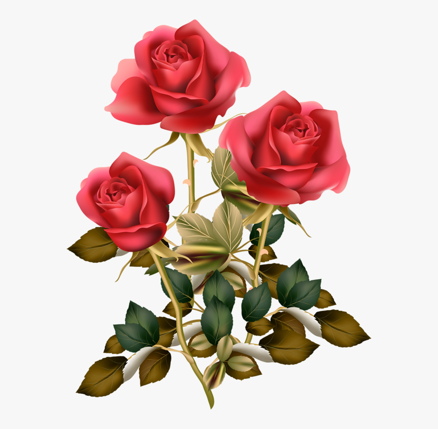 Фотки Red Rose Png, Red Roses, Rose Clipart, Vintage - Share Chat Good Morning Saturday, Transparent Clipart
