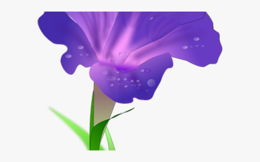 Morning Glory Clipart Marigold Flower - Morning Glory Png, Transparent Clipart
