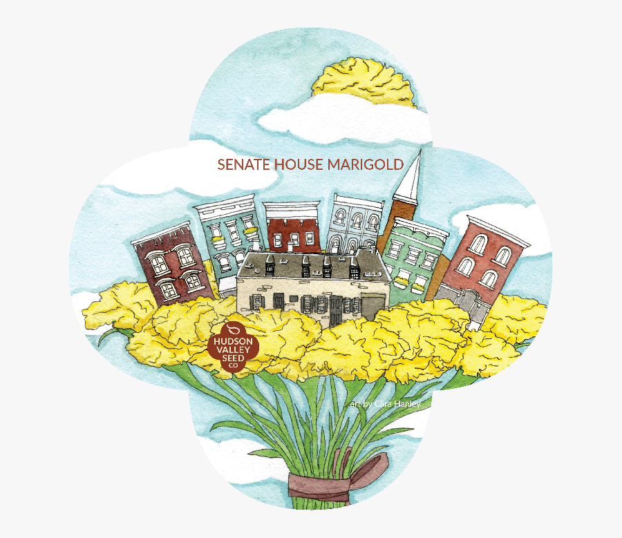 Seeds Clipart Different Seed - Bouquet, Transparent Clipart